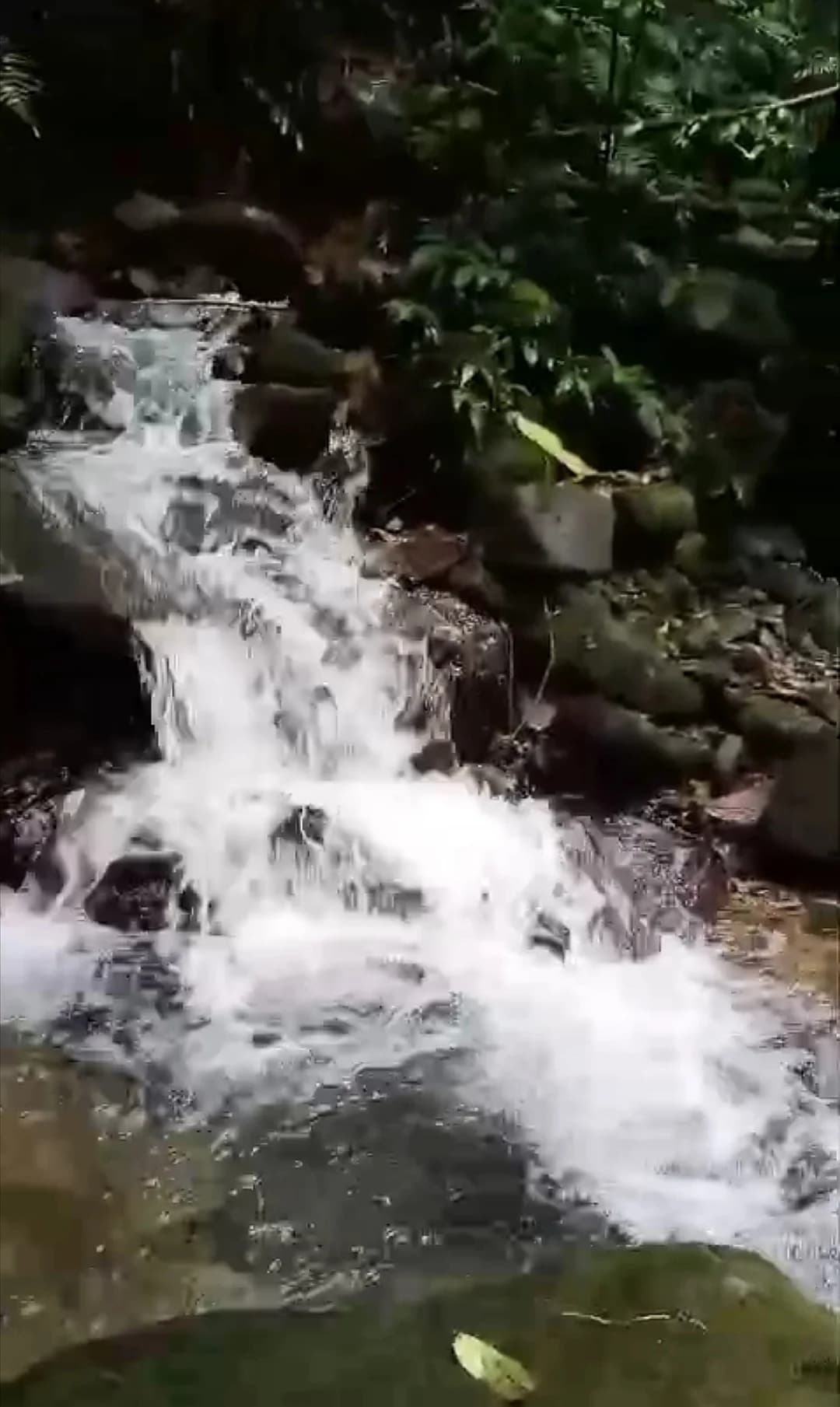 8.7Ha Valle de Antón Paradise: Natural Springs & Mountain Views $375K - Photo 2
