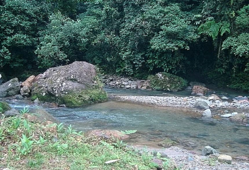 8.7Ha Valle de Antón Paradise: Natural Springs & Mountain Views $375K - Photo 5