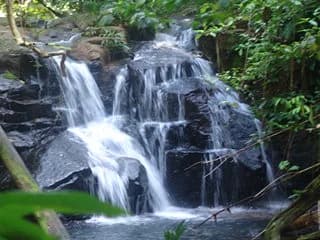 Tropical Rainforest for Sale in Colón - Photo 2