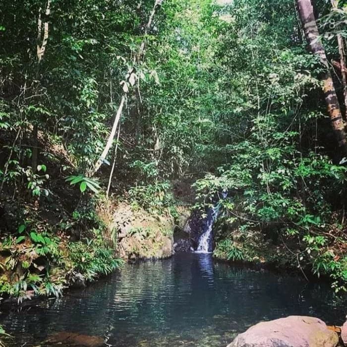 Primary Rainforest Estate | 330m Highway Frontage | Colón, Panama - Photo 2