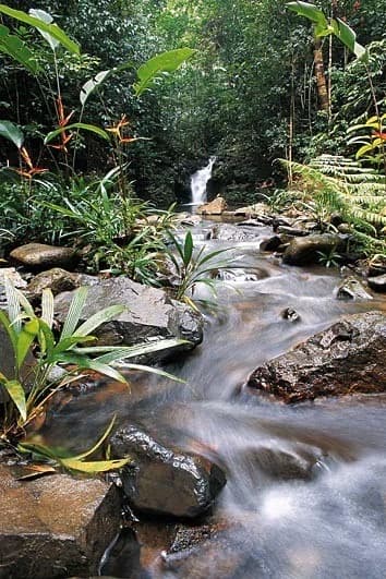 Primary Rainforest Estate | 330m Highway Frontage | Colón, Panama - Photo 4