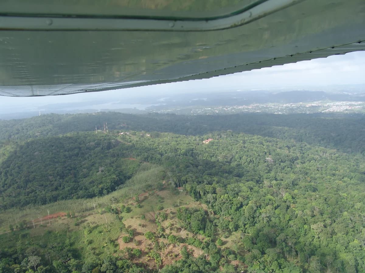 Primary Rainforest Estate | 330m Highway Frontage | Colón, Panama - Photo 5
