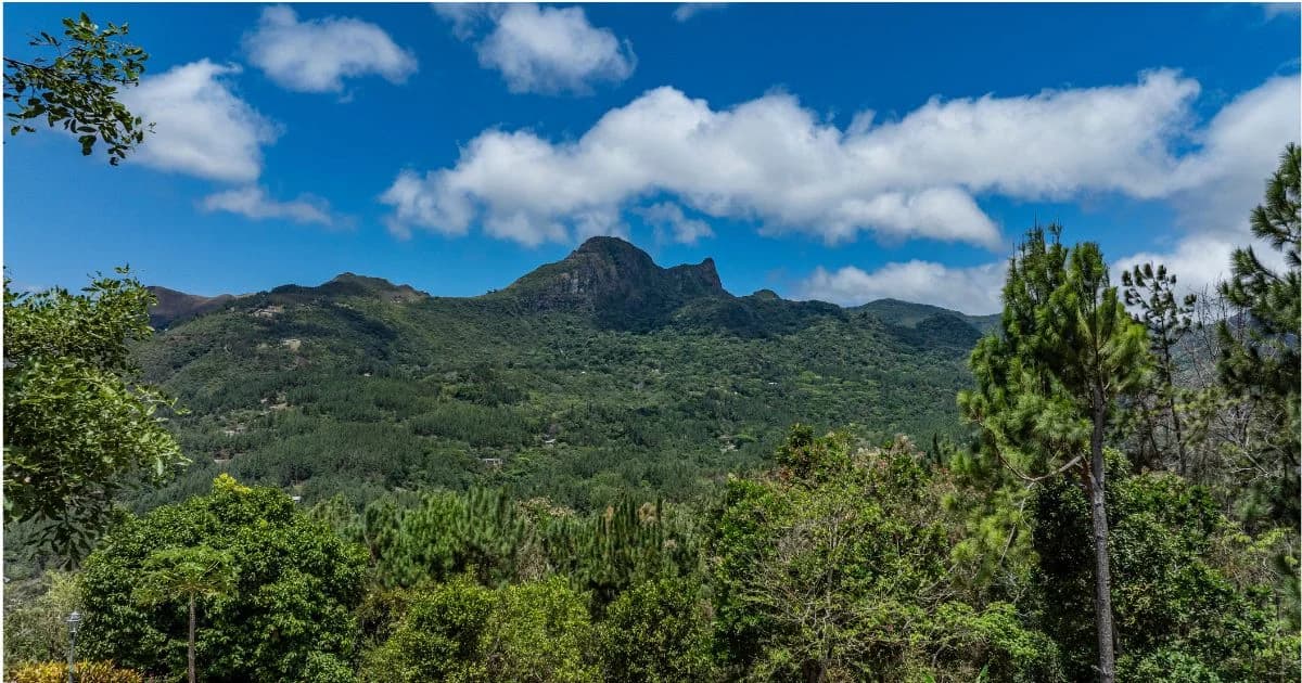 Altos del María Terreno: Construye tu Retiro con Vistas al El Picacho - Photo 3