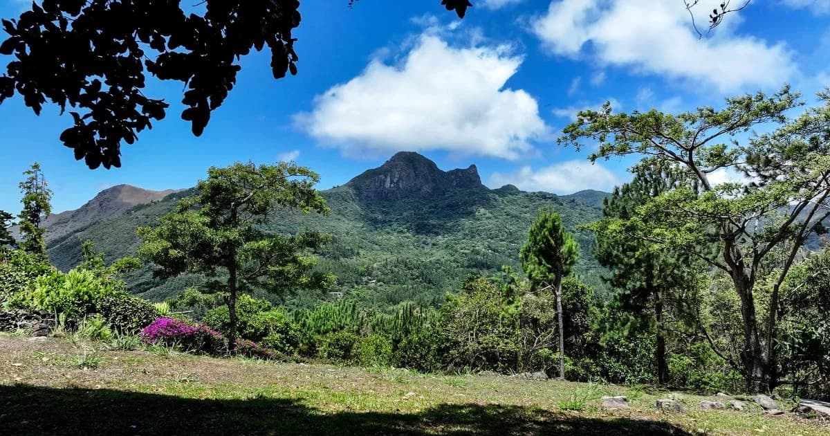 Altos del María Terreno: Construye tu Retiro con Vistas al El Picacho - Photo 5