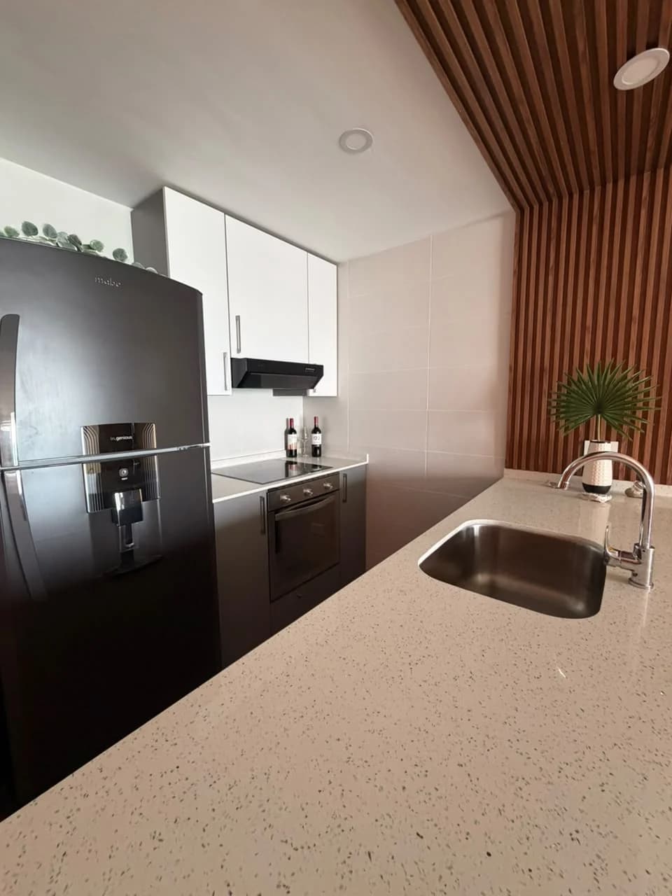 1-Bedroom Oceanfront Apartment for Sale in San Carlos - Photo 4