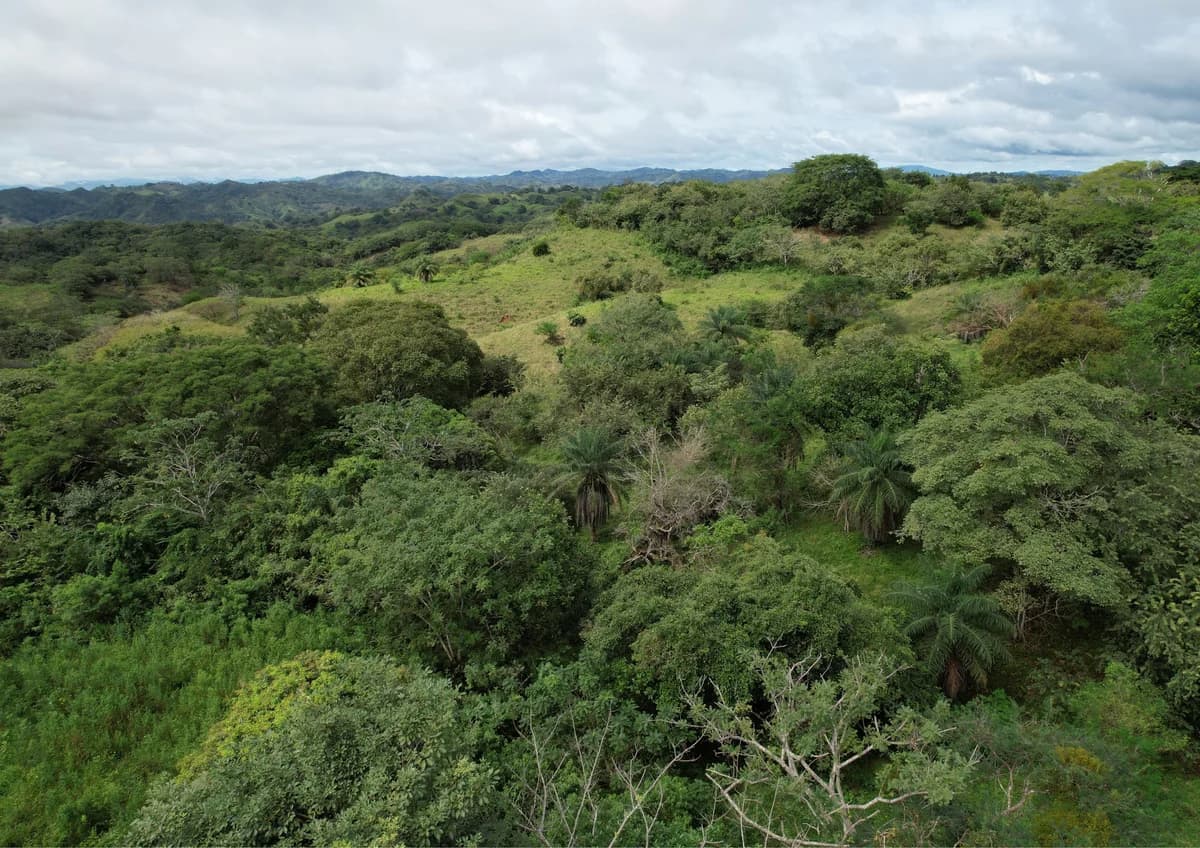 18 Hektar Entwicklungsland zu verkaufen in der Nähe von Playa Venao - Photo 2