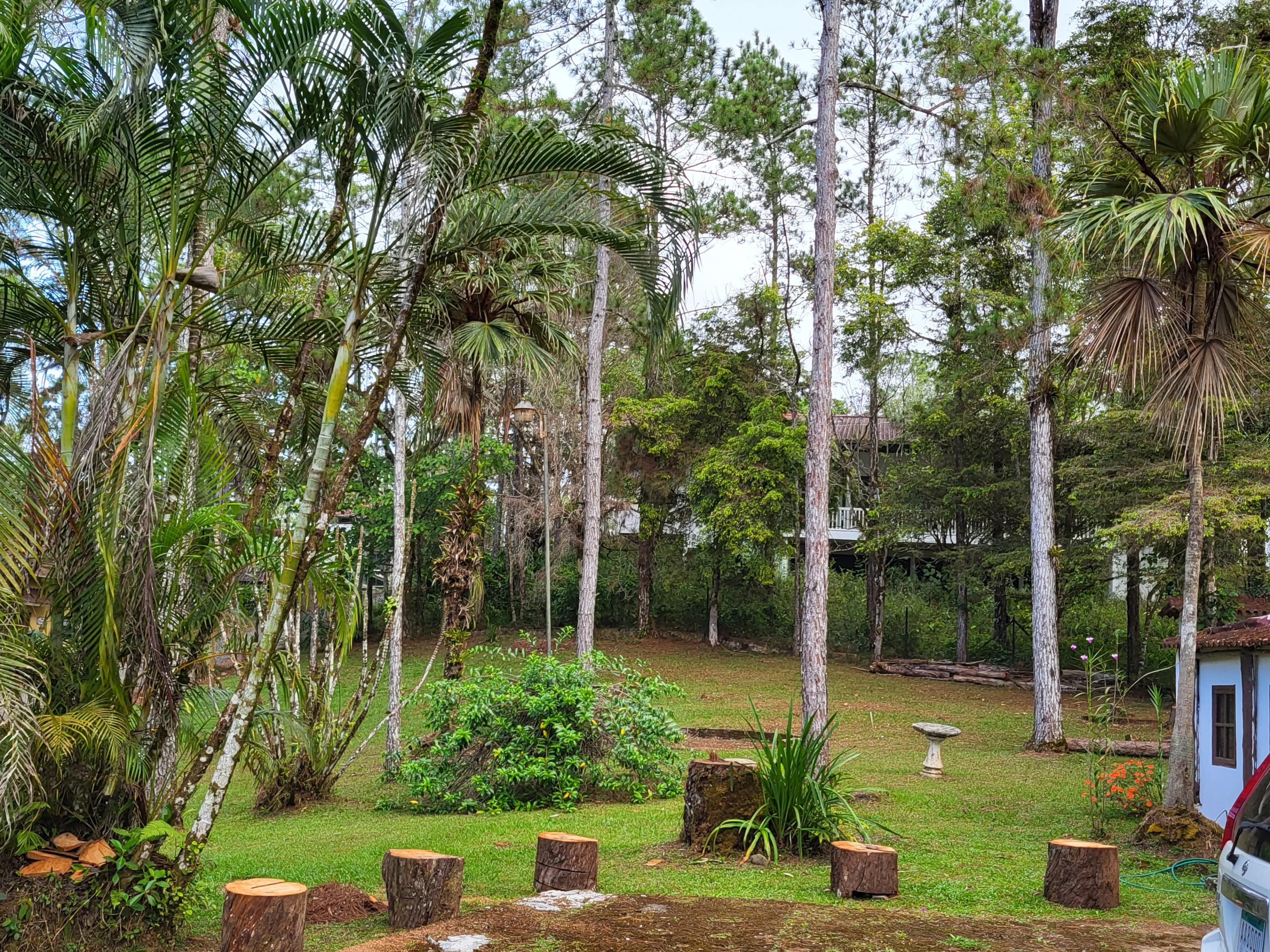 Rare Flat Mountain Lot with Pacific Ocean Views - Altos de Cerro Azul Cabin on 2,000 m² - Photo 3
