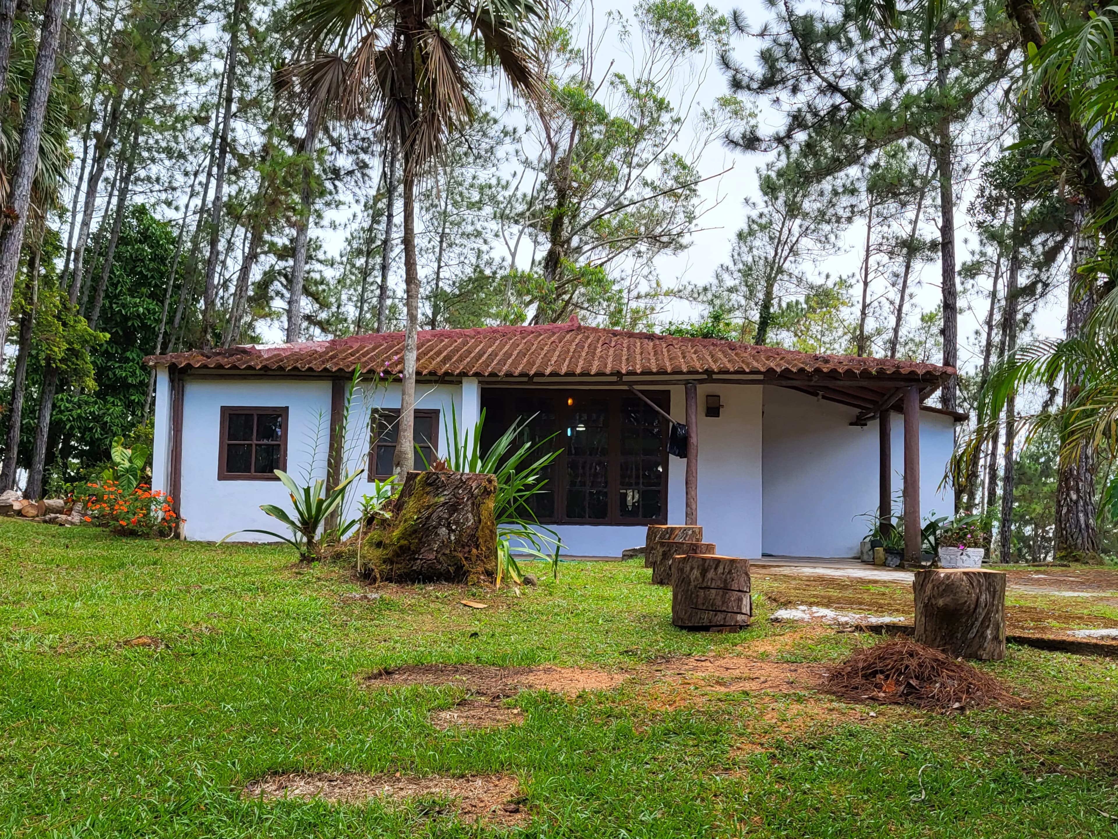 Rare Flat Mountain Lot with Pacific Ocean Views - Altos de Cerro Azul Cabin on 2,000 m²