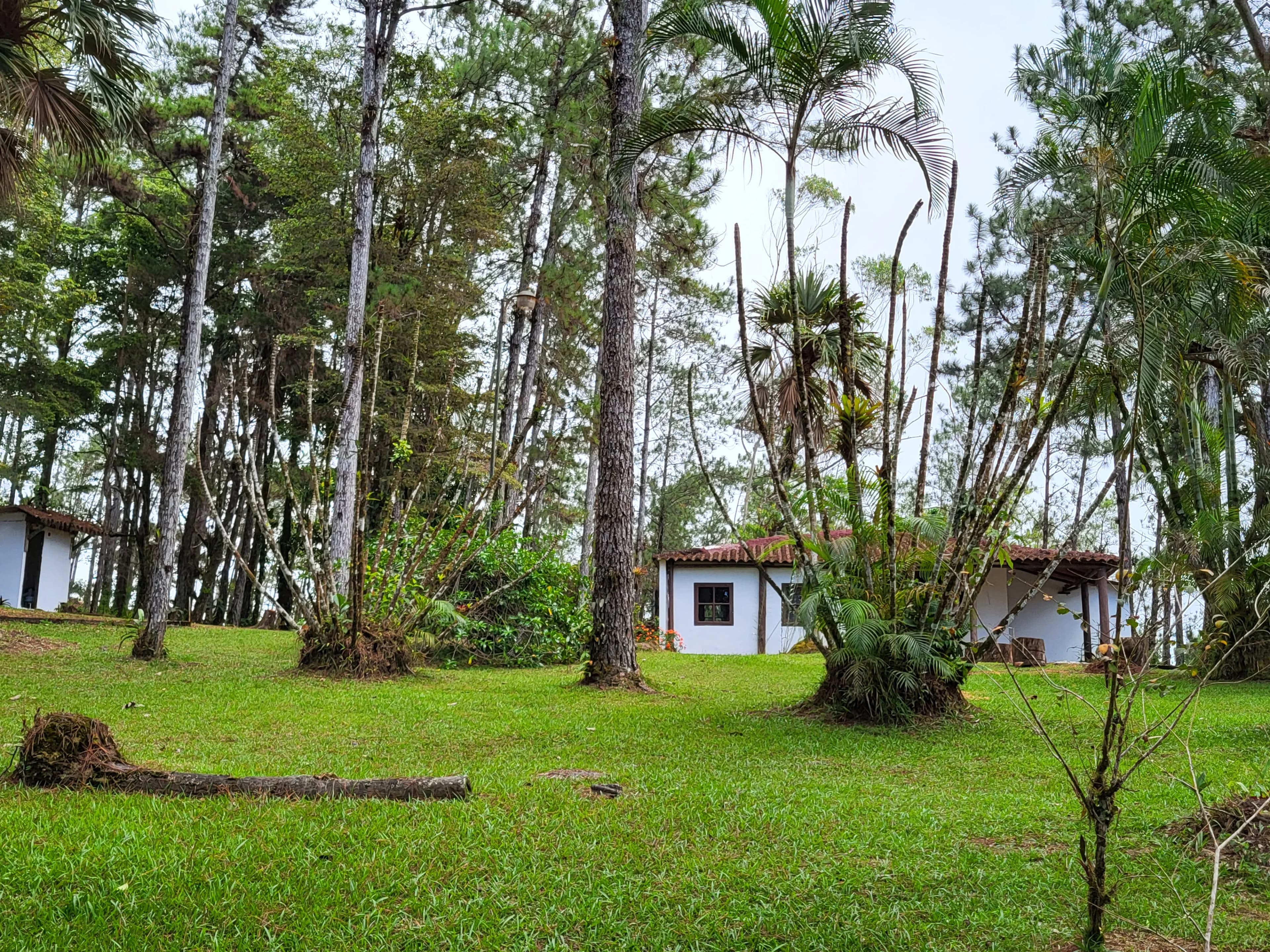 Rare Flat Mountain Lot with Pacific Ocean Views - Altos de Cerro Azul Cabin on 2,000 m² - Photo 4