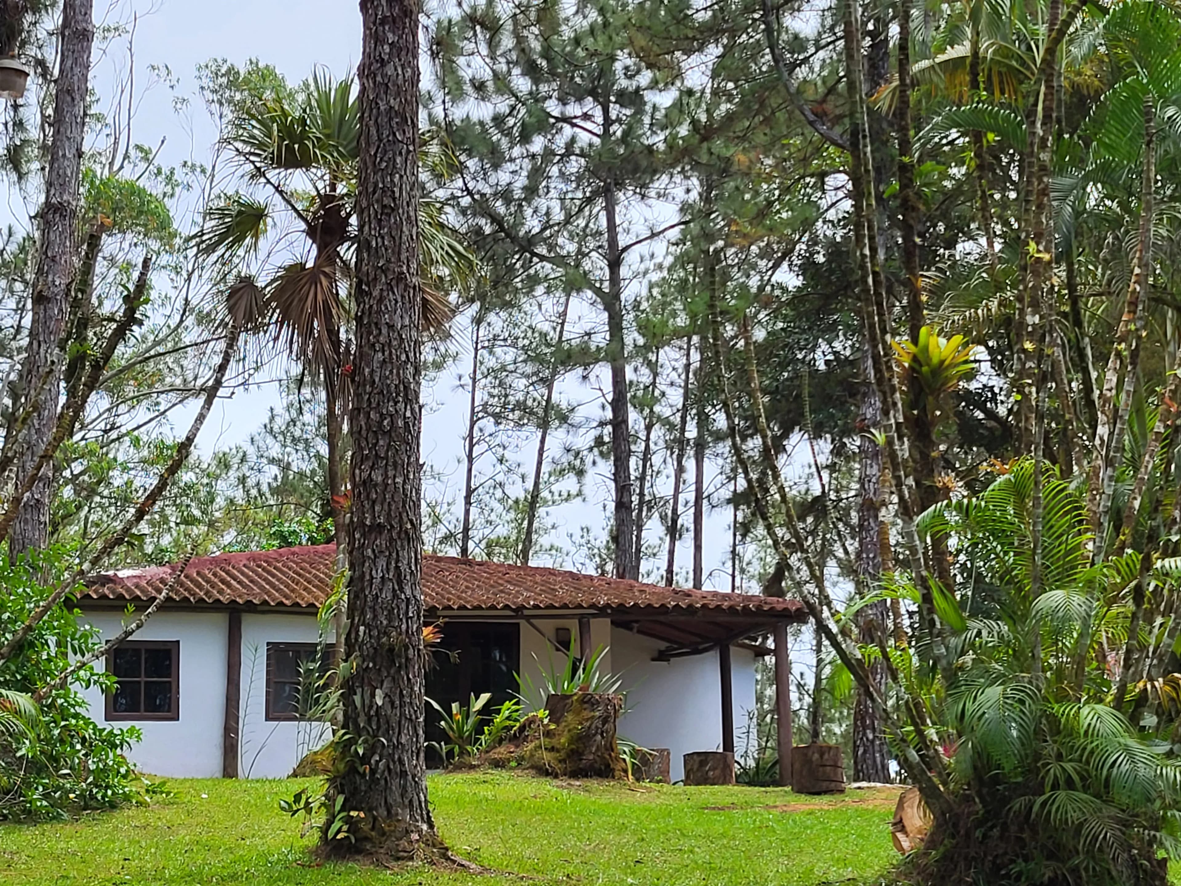 Rare Flat Mountain Lot with Pacific Ocean Views - Altos de Cerro Azul Cabin on 2,000 m² - Photo 2