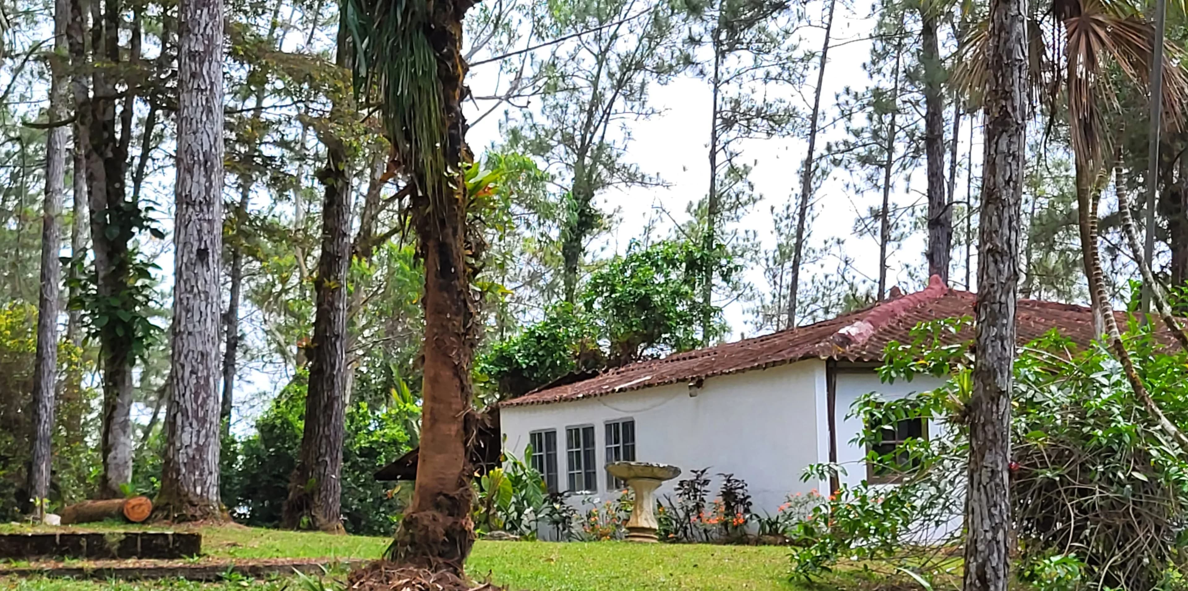 Rare Flat Mountain Lot with Pacific Ocean Views - Altos de Cerro Azul Cabin on 2,000 m² - Photo 5
