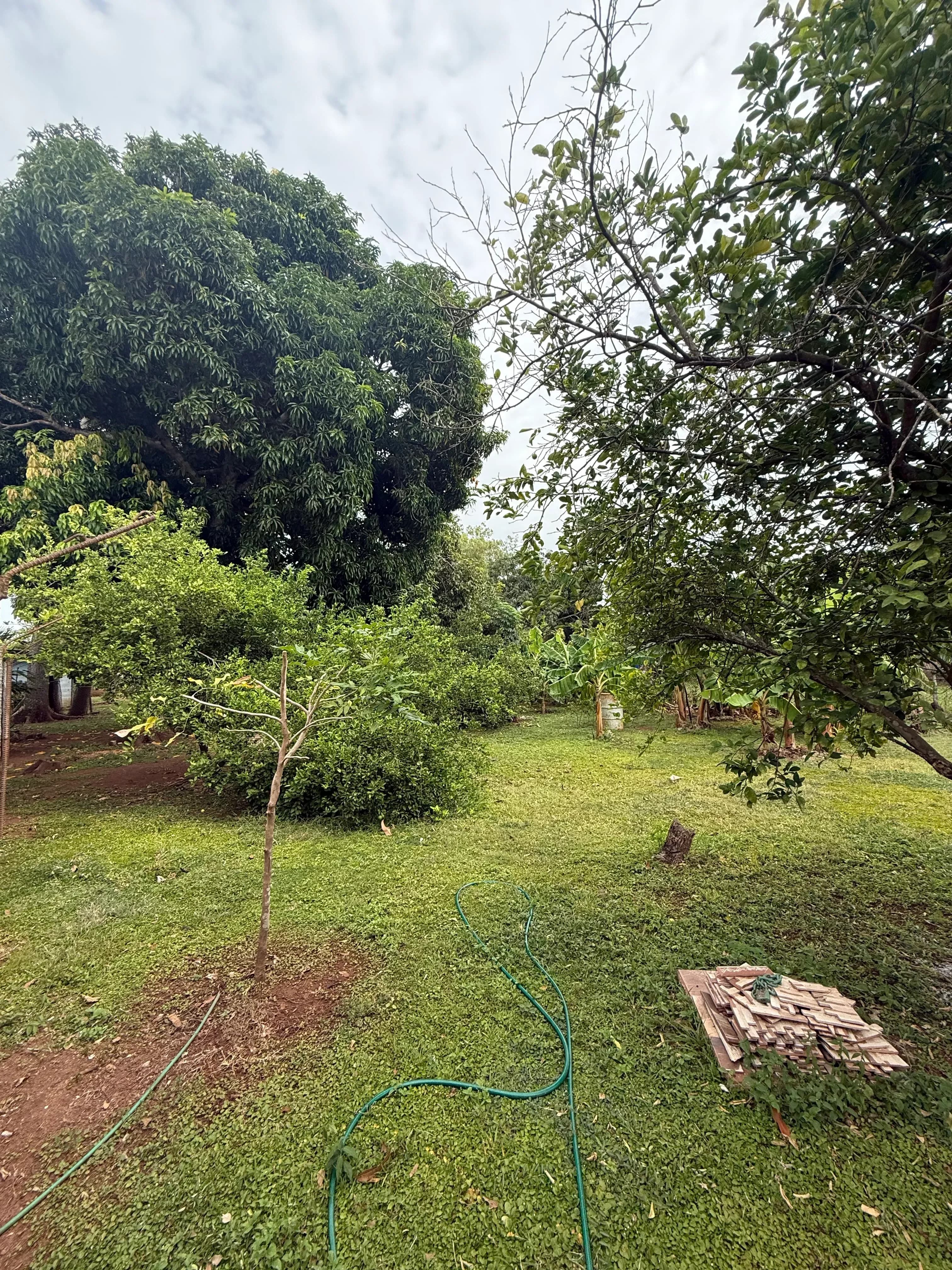 Terreno Plano en Venta en Barriada Santa Cruz, La Villa de Los Santos