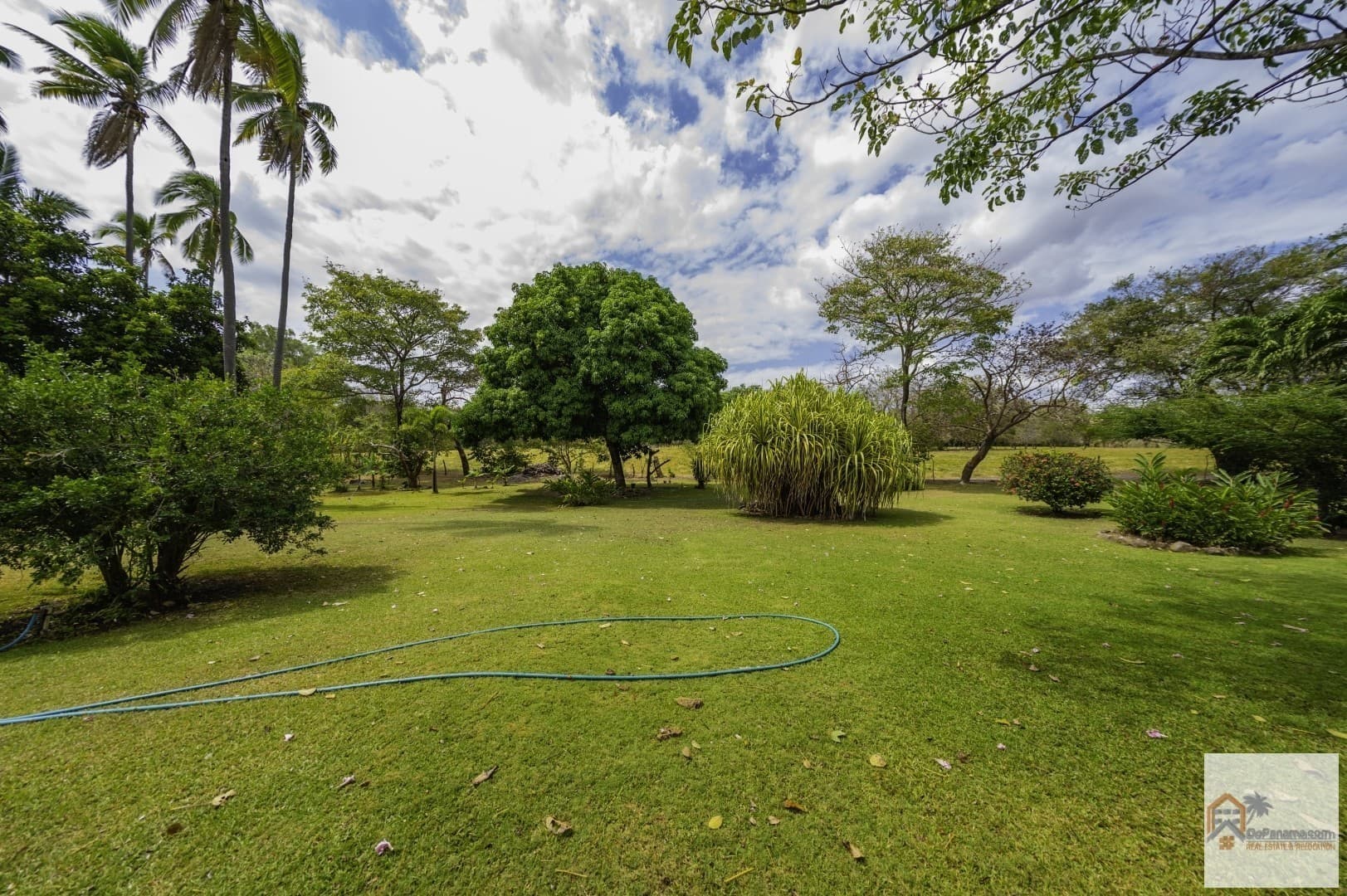 $1.4M Ocean-View Paradise in Punta Barco Viejo - 5BR Pool Estate - Photo 3