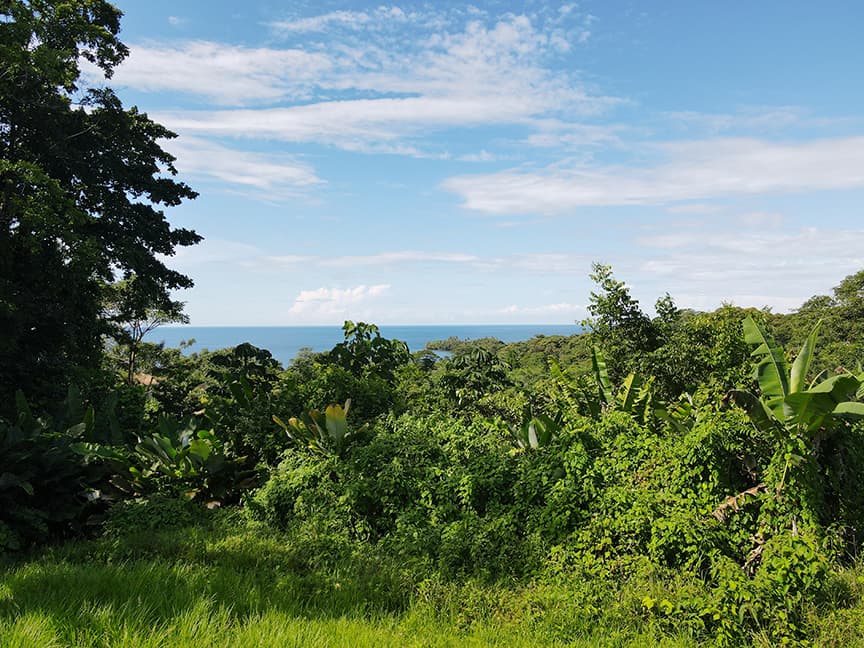 Ocean View Land Lot 25 Red Frog Beach Island Resort Bocas del Toro $265K - Photo 2