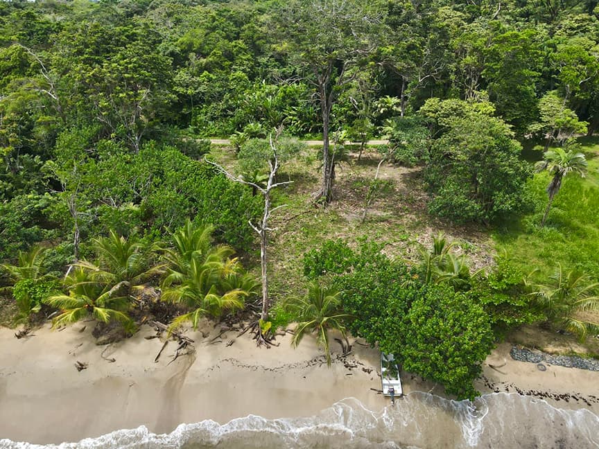 Pristine Beachfront Land Red Frog Beach Bocas del Toro $410K Investment - Photo 2