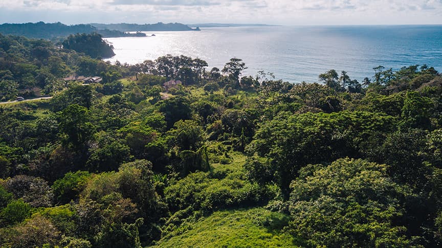 Hillside Ocean View Land | Red Frog Beach Bocas del Toro | $299K - Photo 3