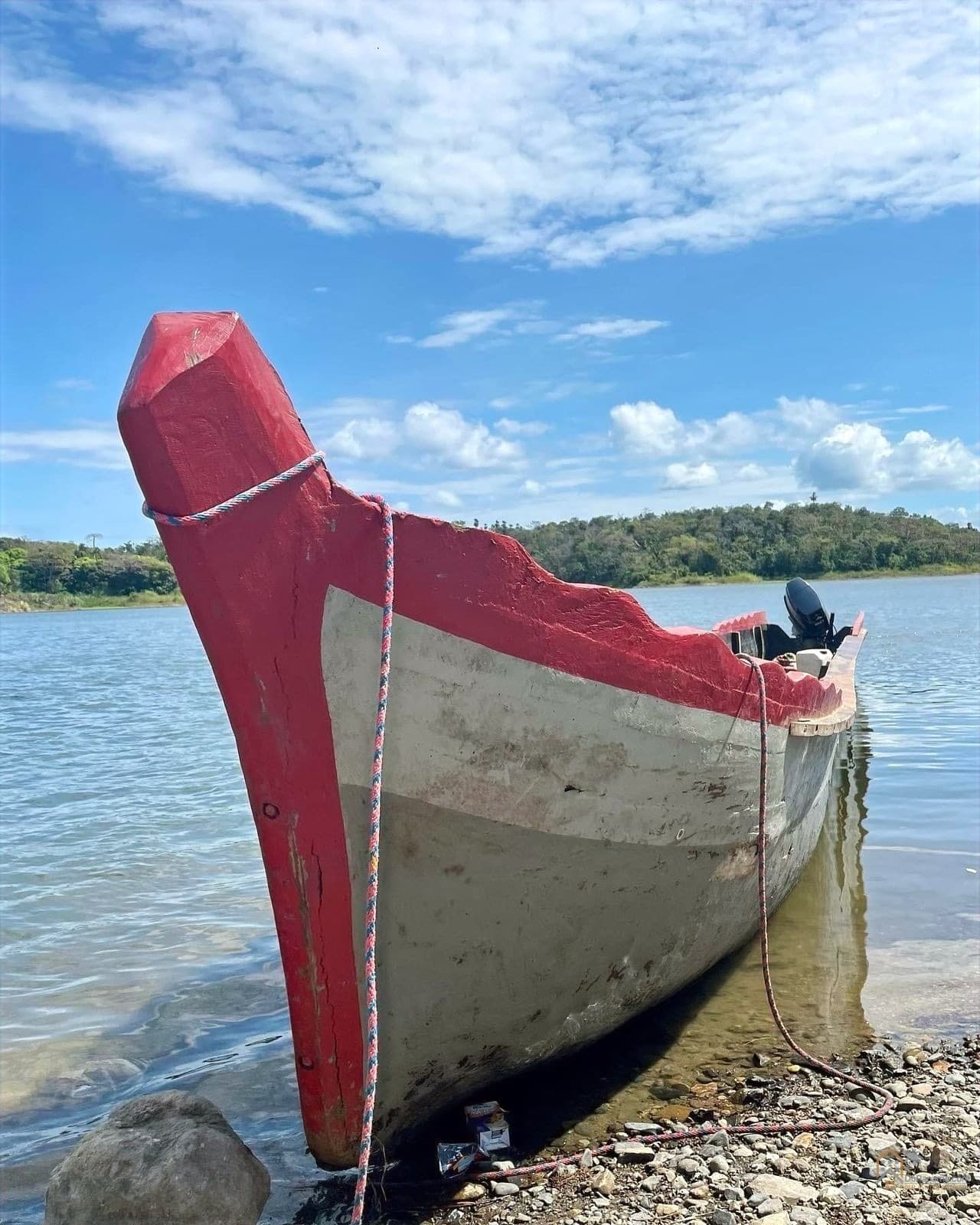 Paraíso Privado en una Isla - Refugio Ecológico en el Lago Bayano $200K | Provincia de Panamá - Photo 2