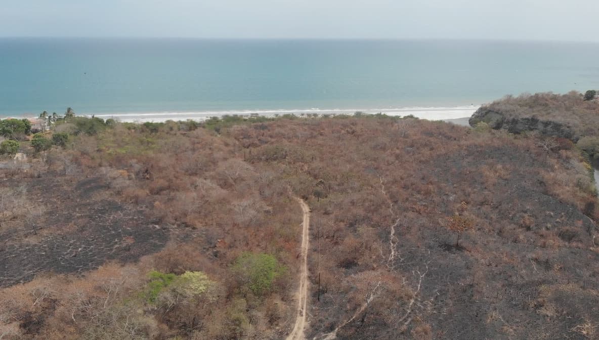 39-Hectare Pacific Paradise: San Carlos Beachfront Estate - $11M - Photo 3