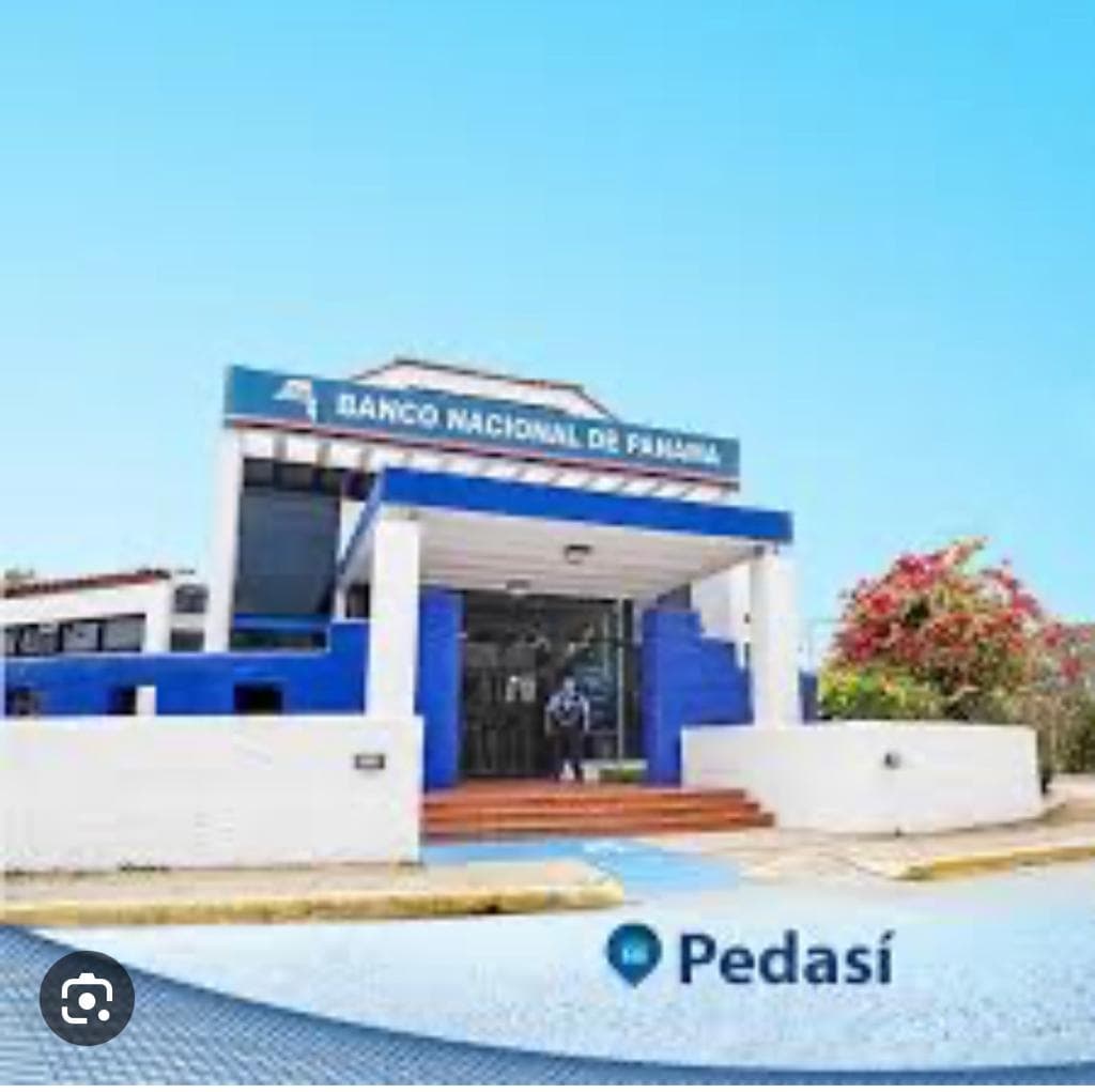 Pristine 1.5 Hectare Beachfront Estate Site - Pedasí's Premier Development