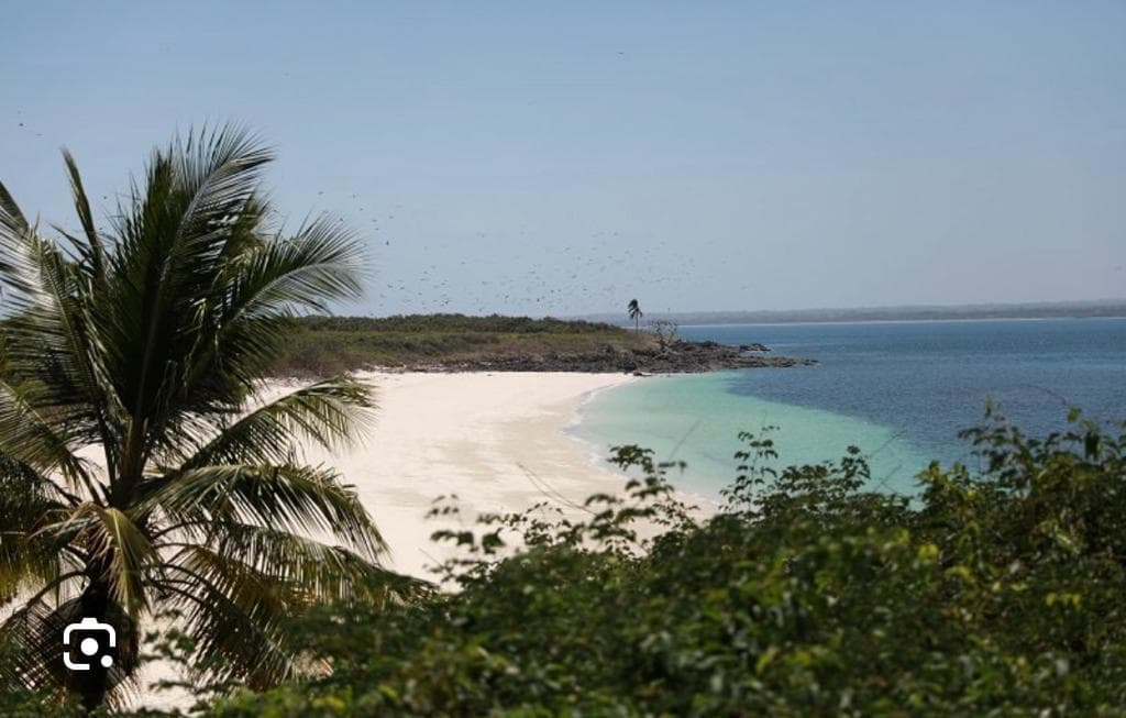 Terrain de 1,5 hectare immaculé en front de mer - Le développement d'exception de Pedasí - Photo 4