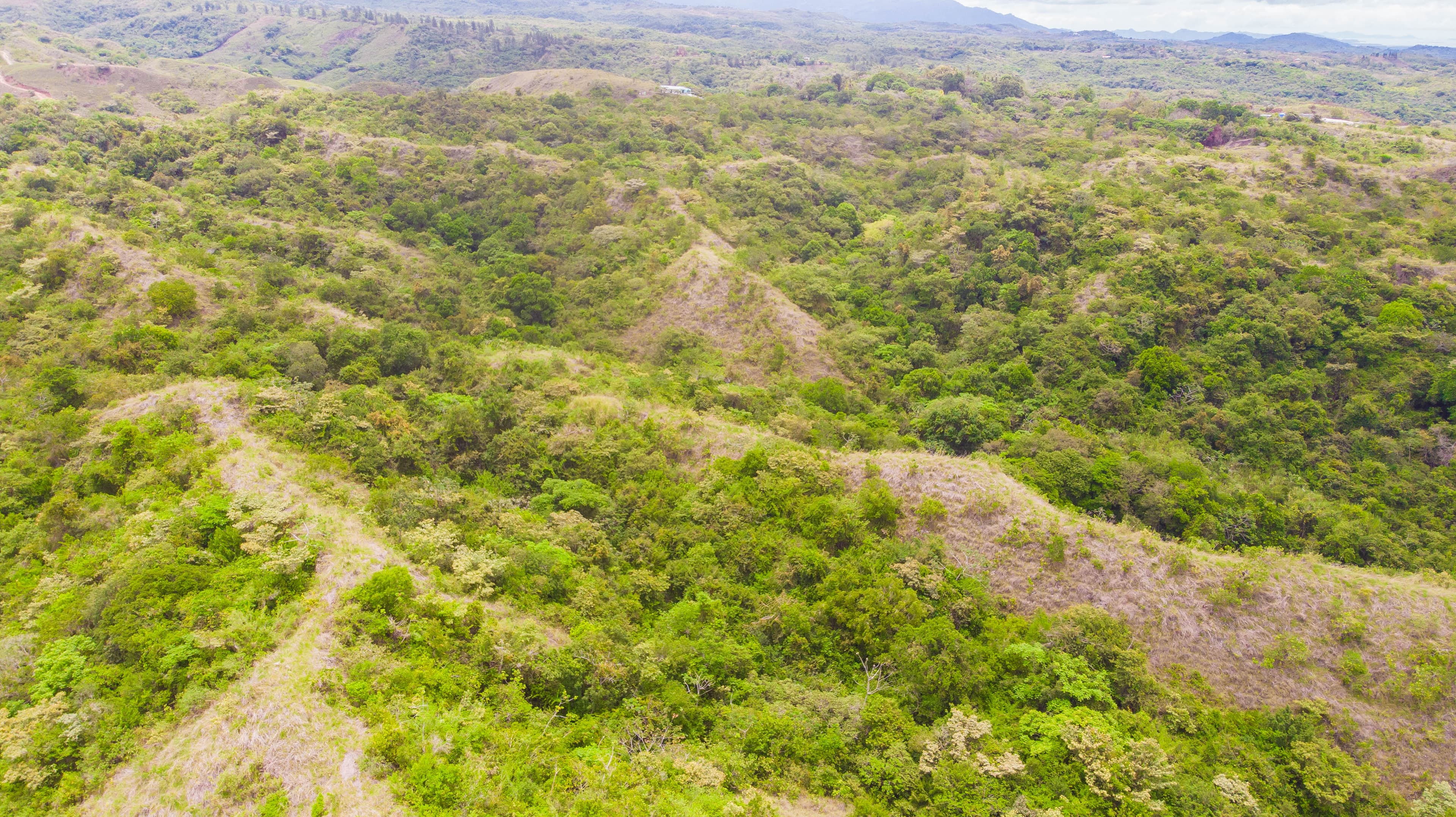 12-Hectare Pacific Paradise | San Carlos Development Land $228,888 - Photo 3