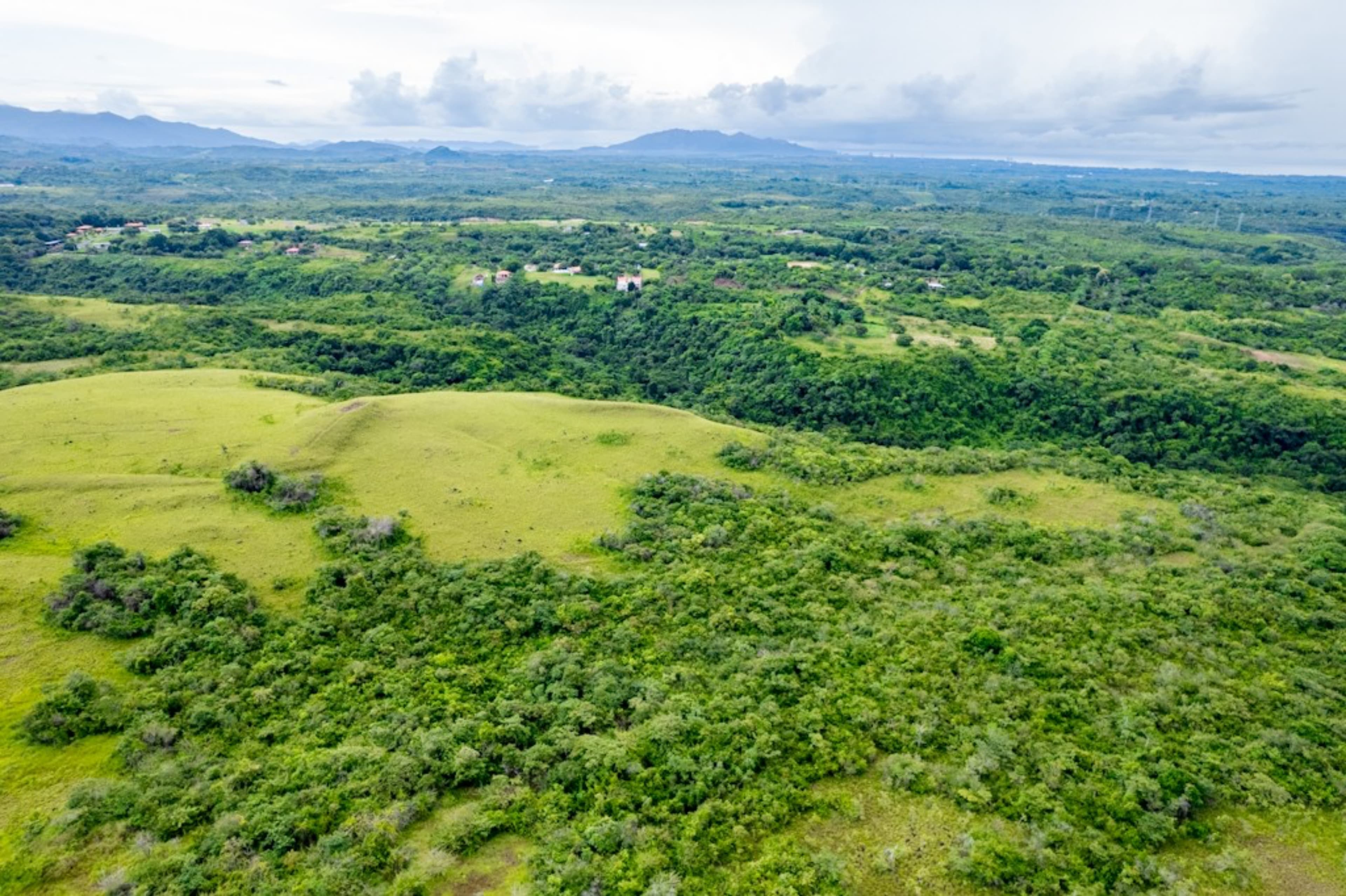 40 Hectares Ocean View Development Land San Carlos - $995K Prime Site - Photo 2
