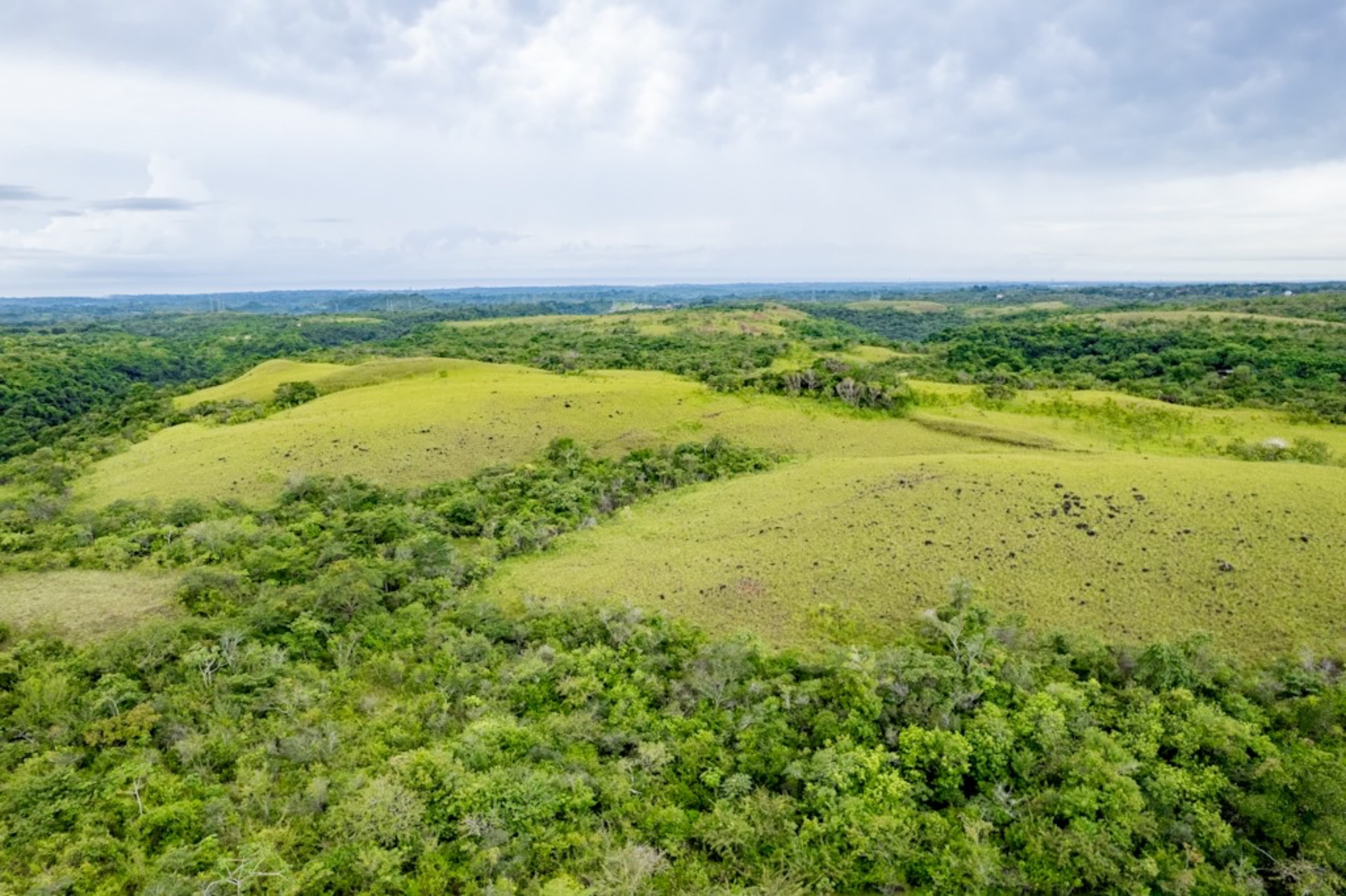 40 Hectares Ocean View Development Land San Carlos - $995K Prime Site - Photo 3