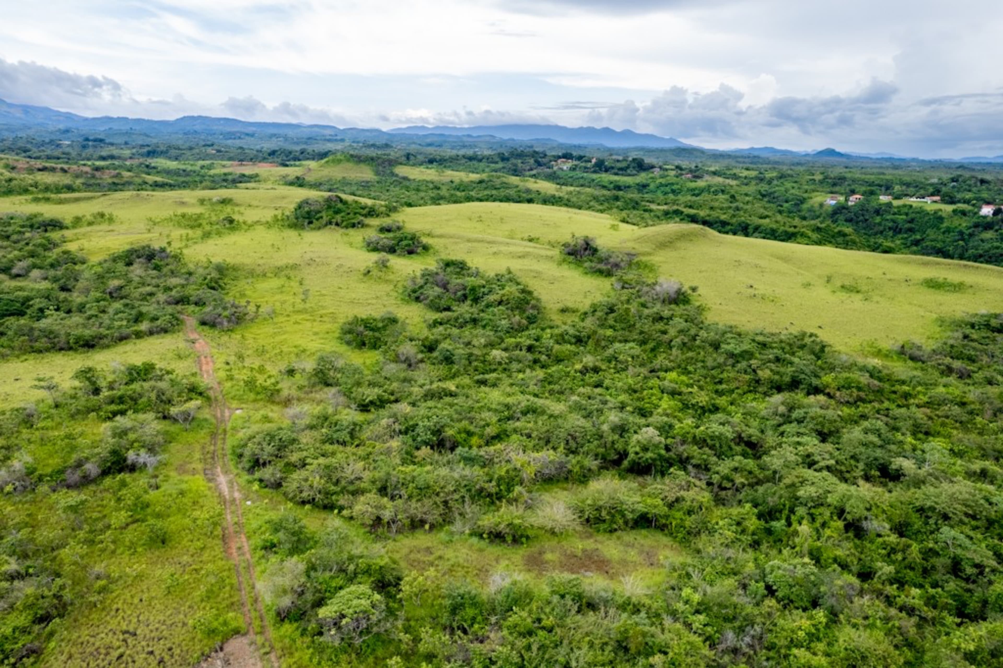 40 Hectares Ocean View Development Land San Carlos - $995K Prime Site - Photo 4