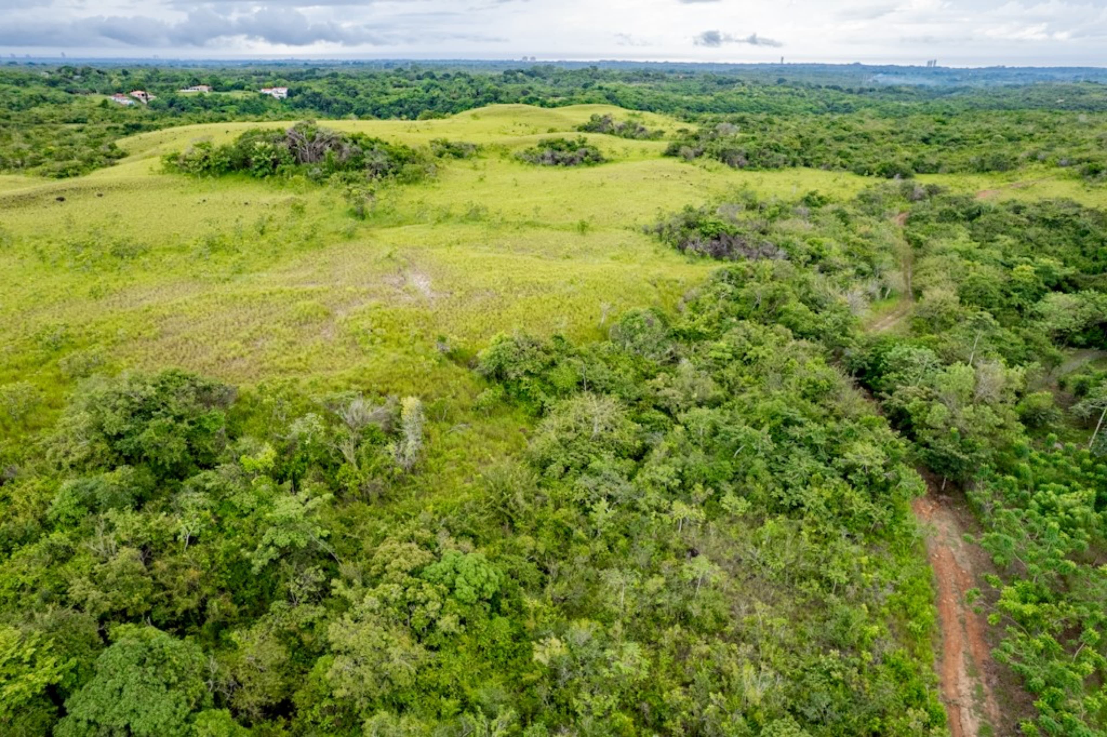 40 Hectares Ocean View Development Land San Carlos - $995K Prime Site - Photo 5