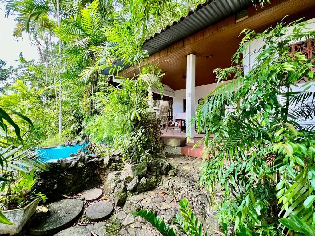 Ocean View Paradise: 4BR Pool Estate $575K Hato Pintado Panama City - Photo 3