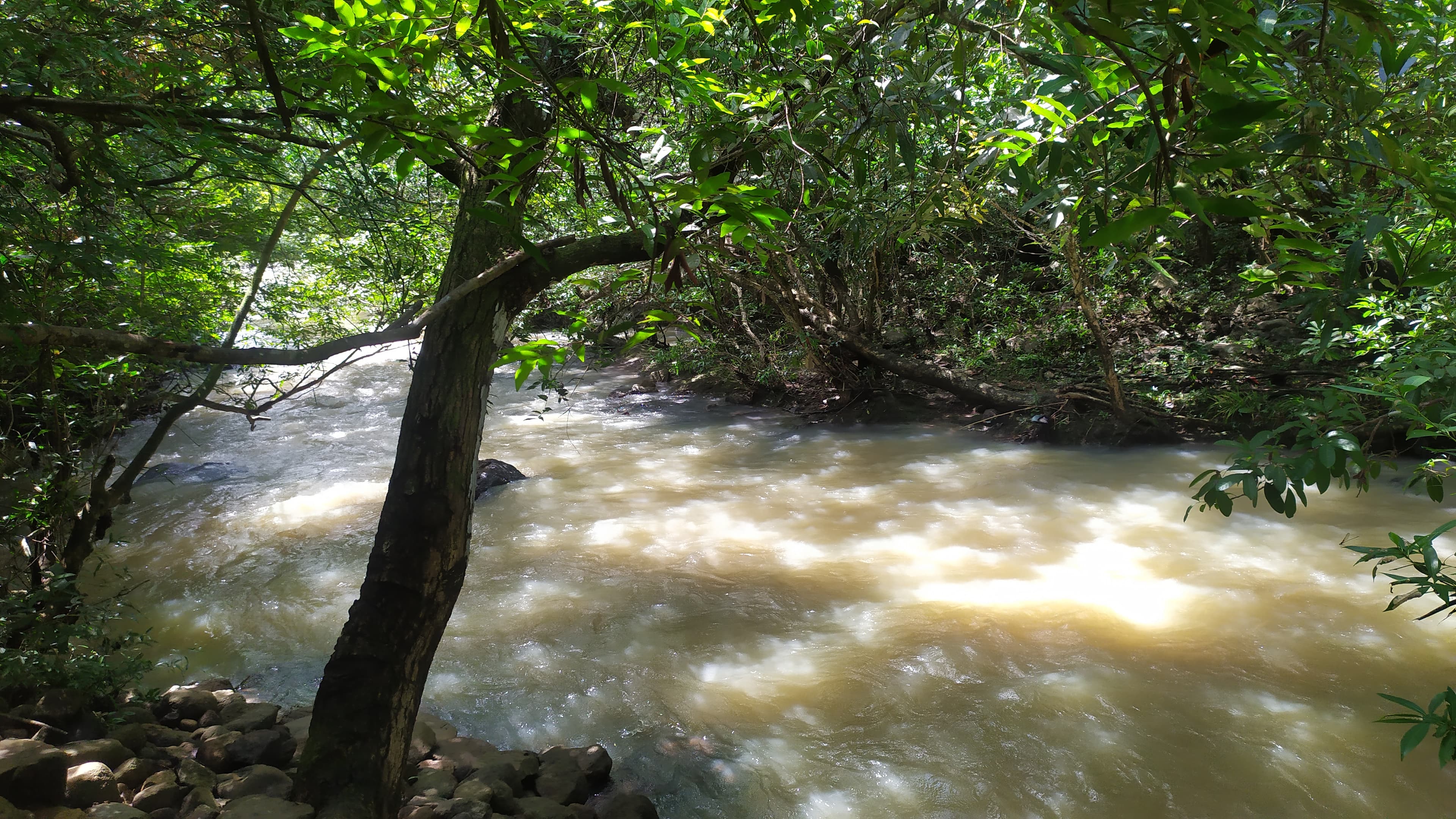 8-Hectare Riverside Paradise in Penonomé | $1.5M Coclé Land | DoPanama - Photo 5