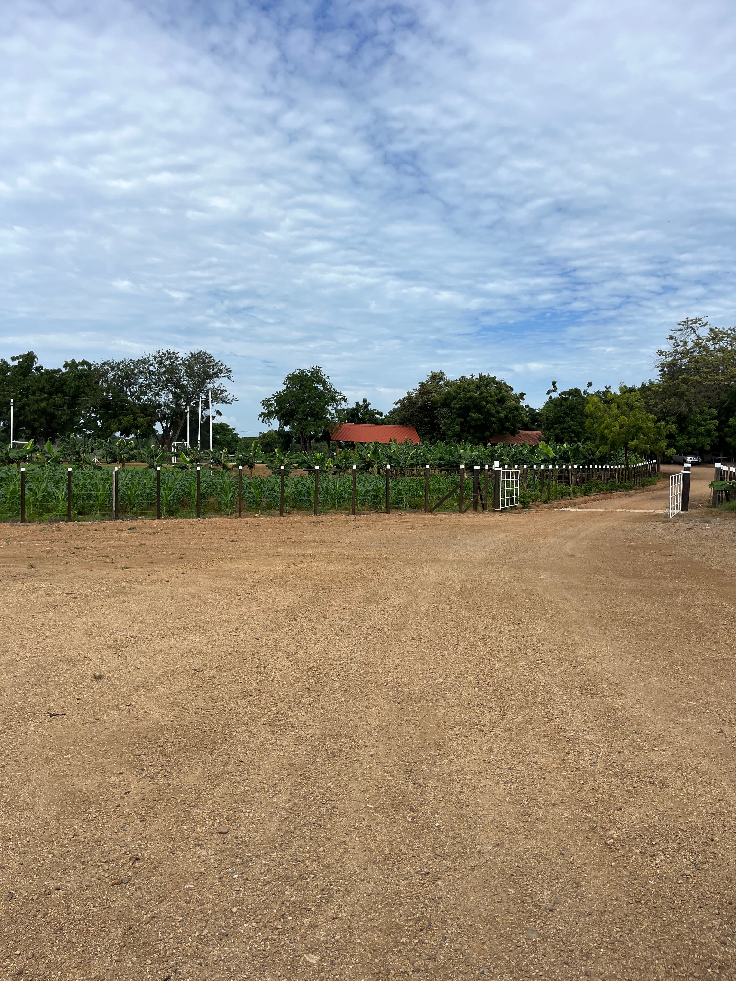15.4 Hectares of Paradise: Mountain View Land in Chitré, Herrera - Photo 3