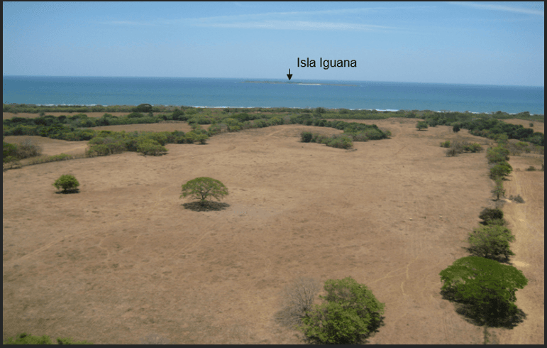 79.1-Hectare Beachfront Estate Land in Pedasí - $9M Development Paradise - Photo 2
