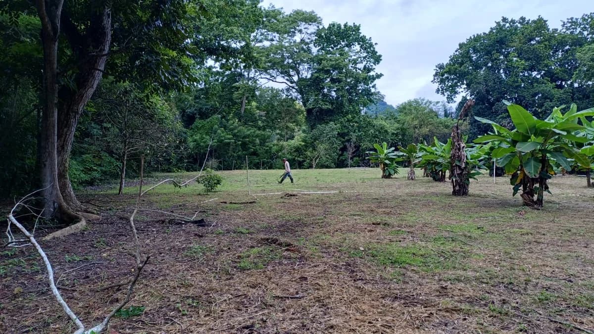 Finca for Sale in Ollas Arriba, Capira | 3,355 m² with Mountain Views