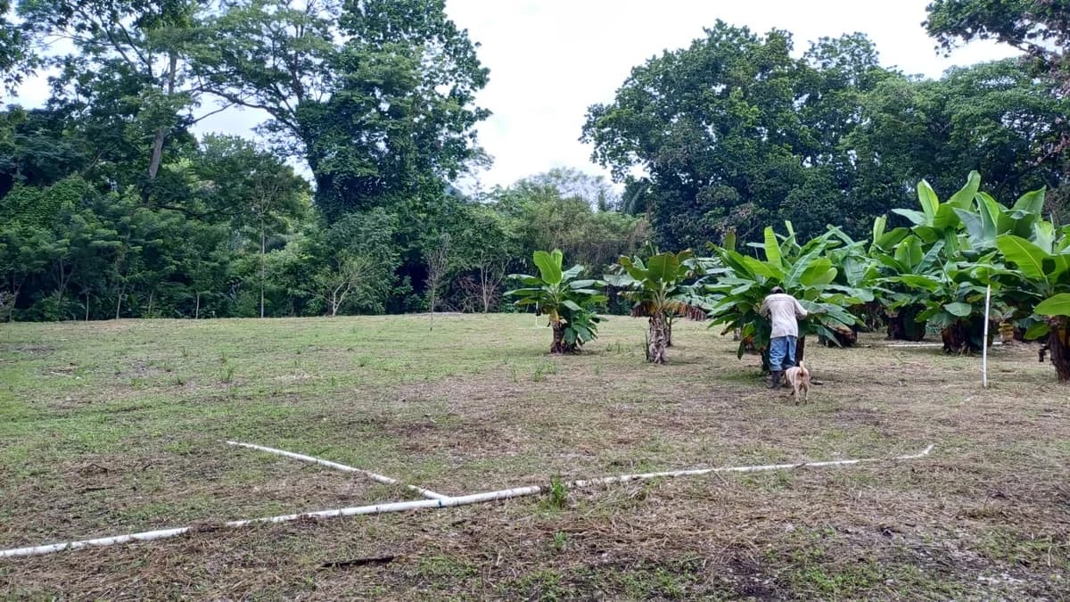 Finca for Sale in Ollas Arriba, Capira | 3,355 m² with Mountain Views - Photo 3