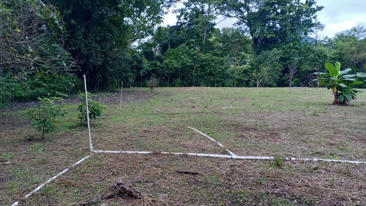 Finca for Sale in Ollas Arriba, Capira | 3,355 m² with Mountain Views - Photo 4