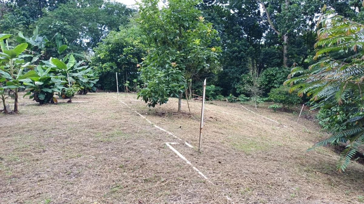 Finca for Sale in Ollas Arriba, Capira | 3,355 m² with Mountain Views - Photo 5