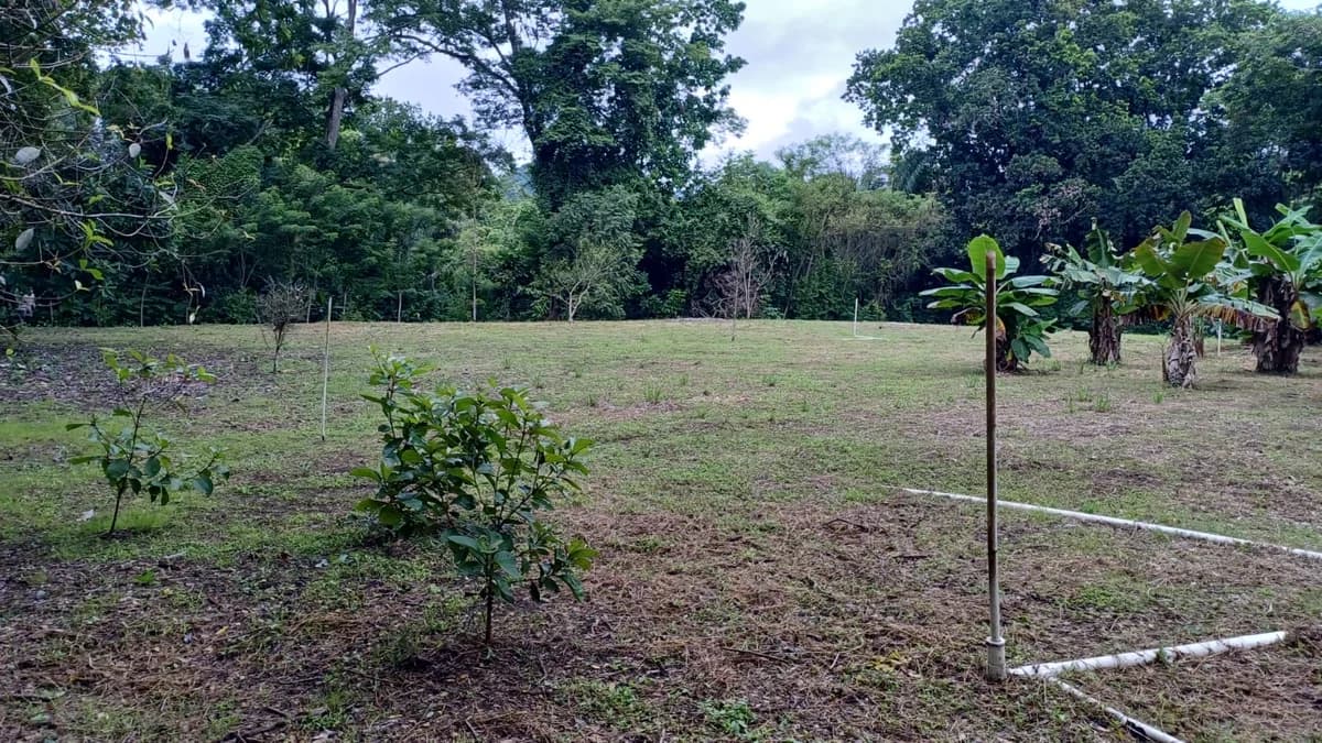 Finca for Sale in Ollas Arriba, Capira | 3,355 m² with Mountain Views - Photo 2