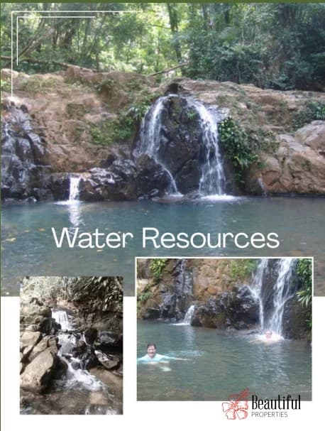 Primary Rainforest Estate | 330m Highway Frontage | Colón, Panama