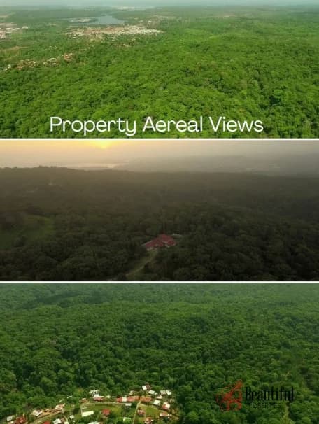 Primary Rainforest Estate | 330m Highway Frontage | Colón, Panama - Photo 2