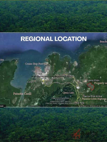 Primary Rainforest Estate | 330m Highway Frontage | Colón, Panama - Photo 3
