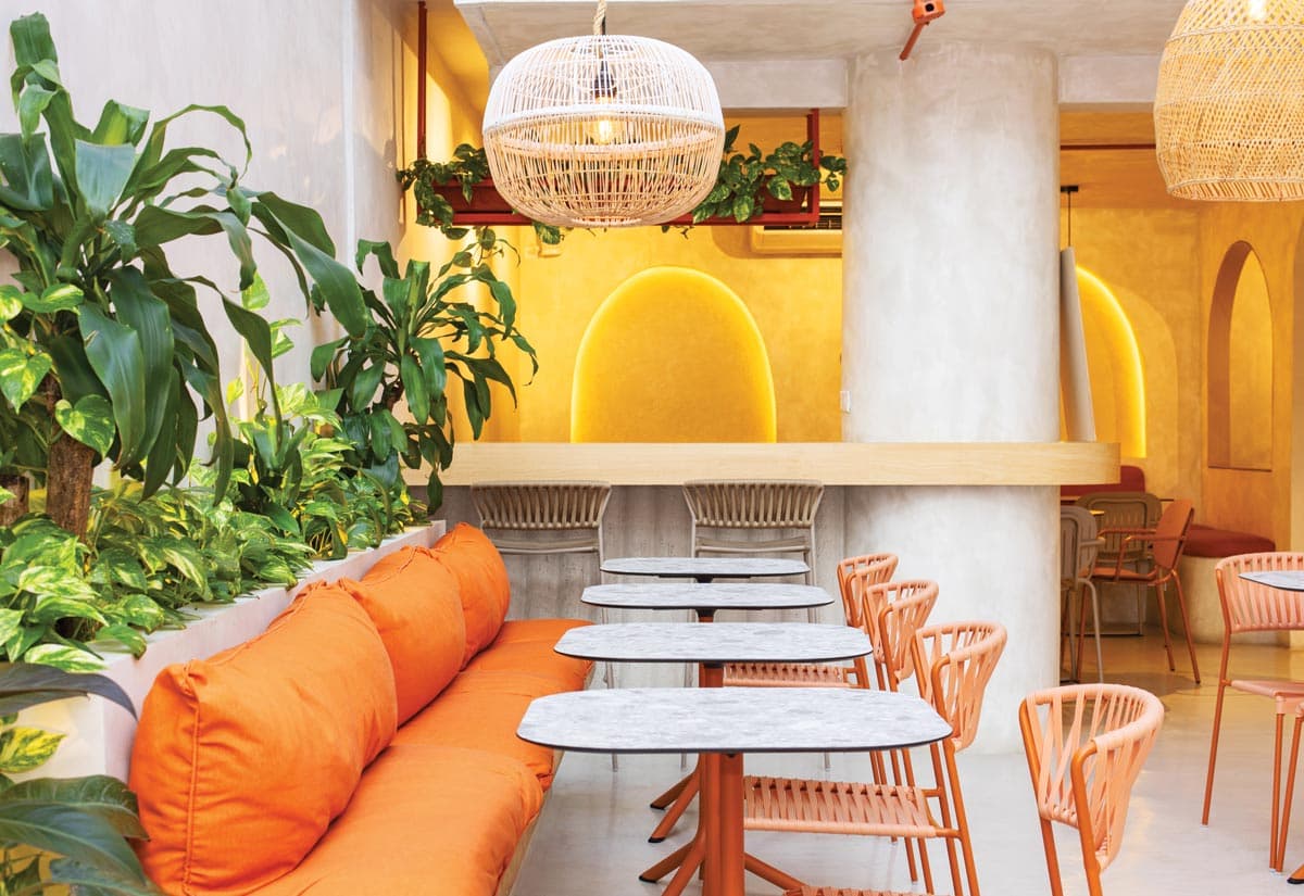 Cooking Mamma Bakery & Coffee: Panama City's Premier Specialty Coffee Destination for Expats