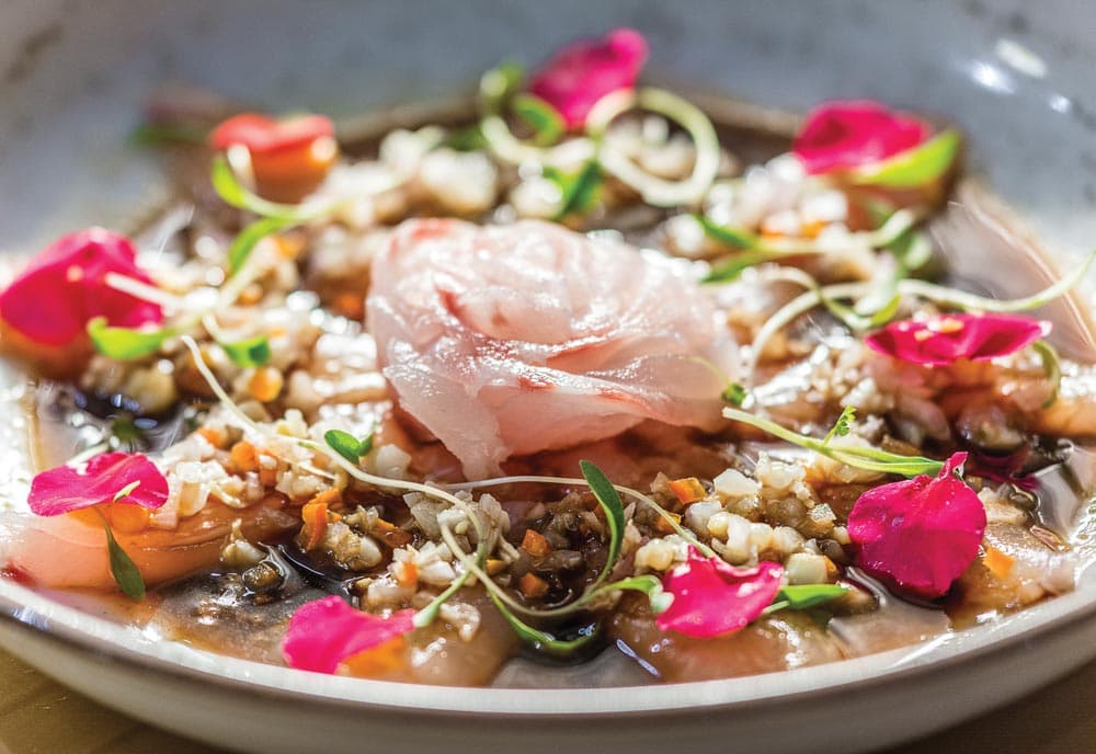 Enkai: Panama's Premier Japanese-Peruvian Nikkei Restaurant in Historic Casco Viejo