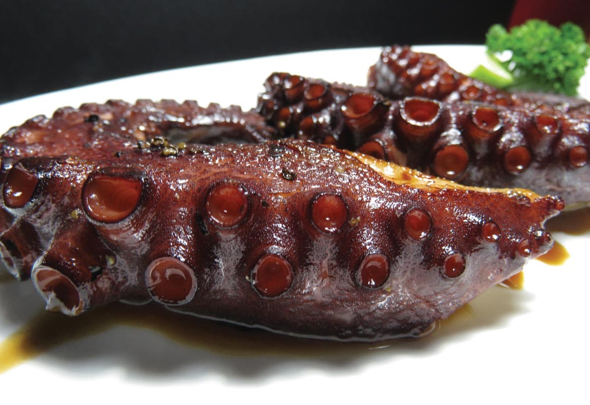 Muelle 67: Panama's Premier Seafood Destination for Expats and Locals