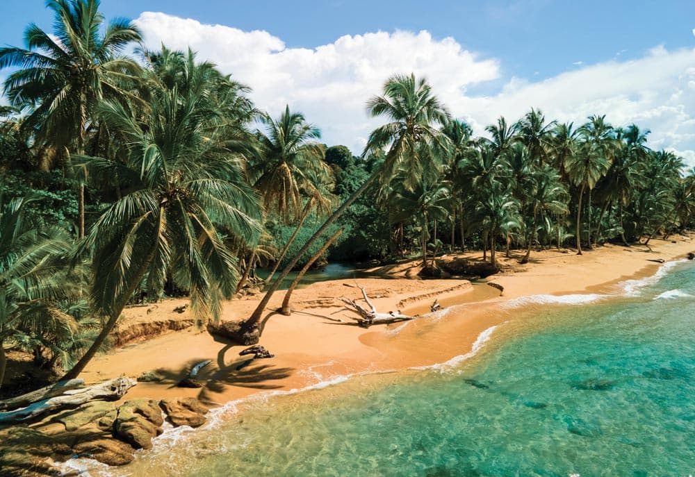 Roots Real Estate Panama: Leading Eco-Conscious Property Solutions in Panama's Most Beautiful Regions