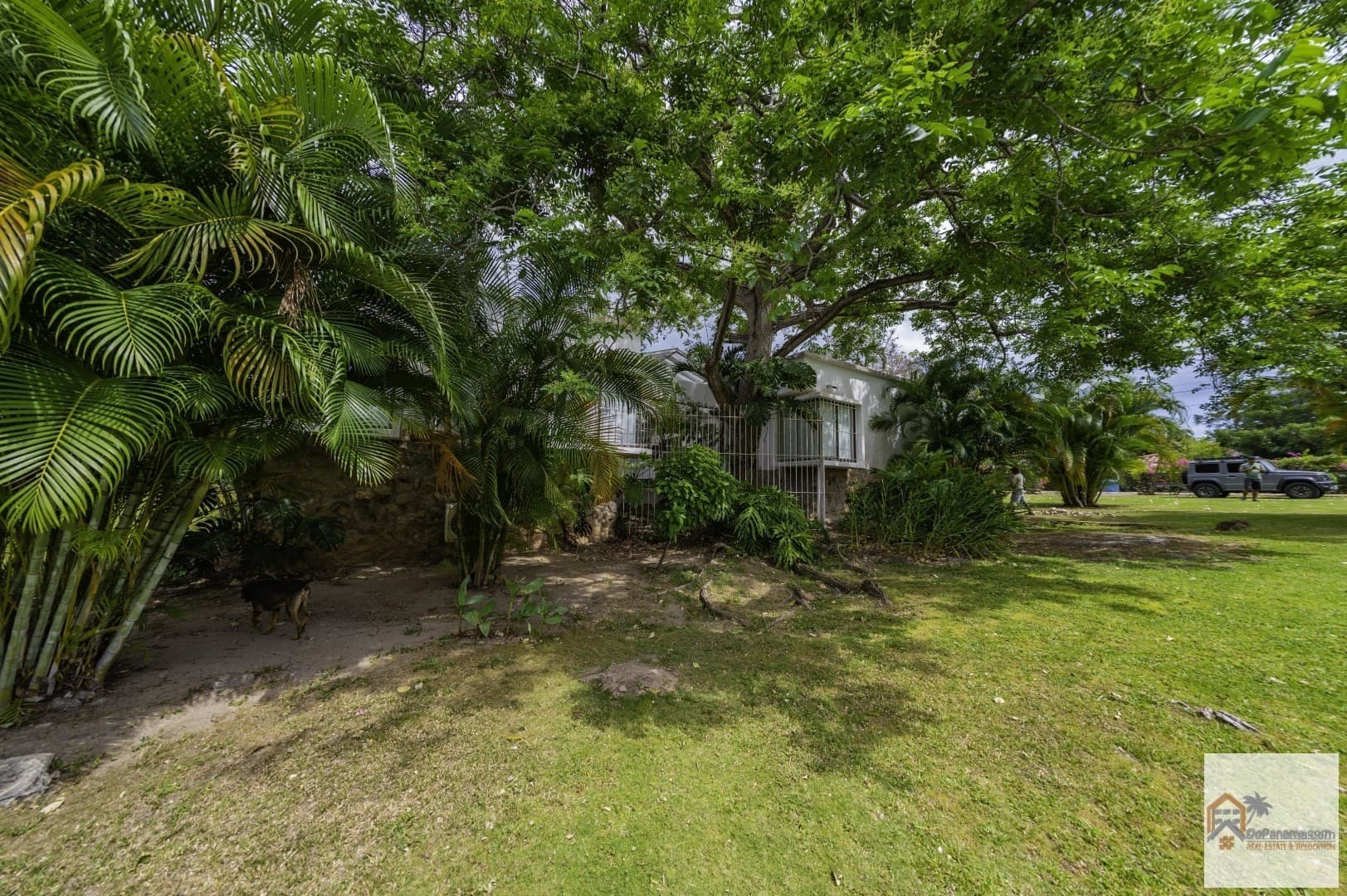 $1.4M Ocean-View Paradise in Punta Barco Viejo - 5BR Pool Estate - Photo 4