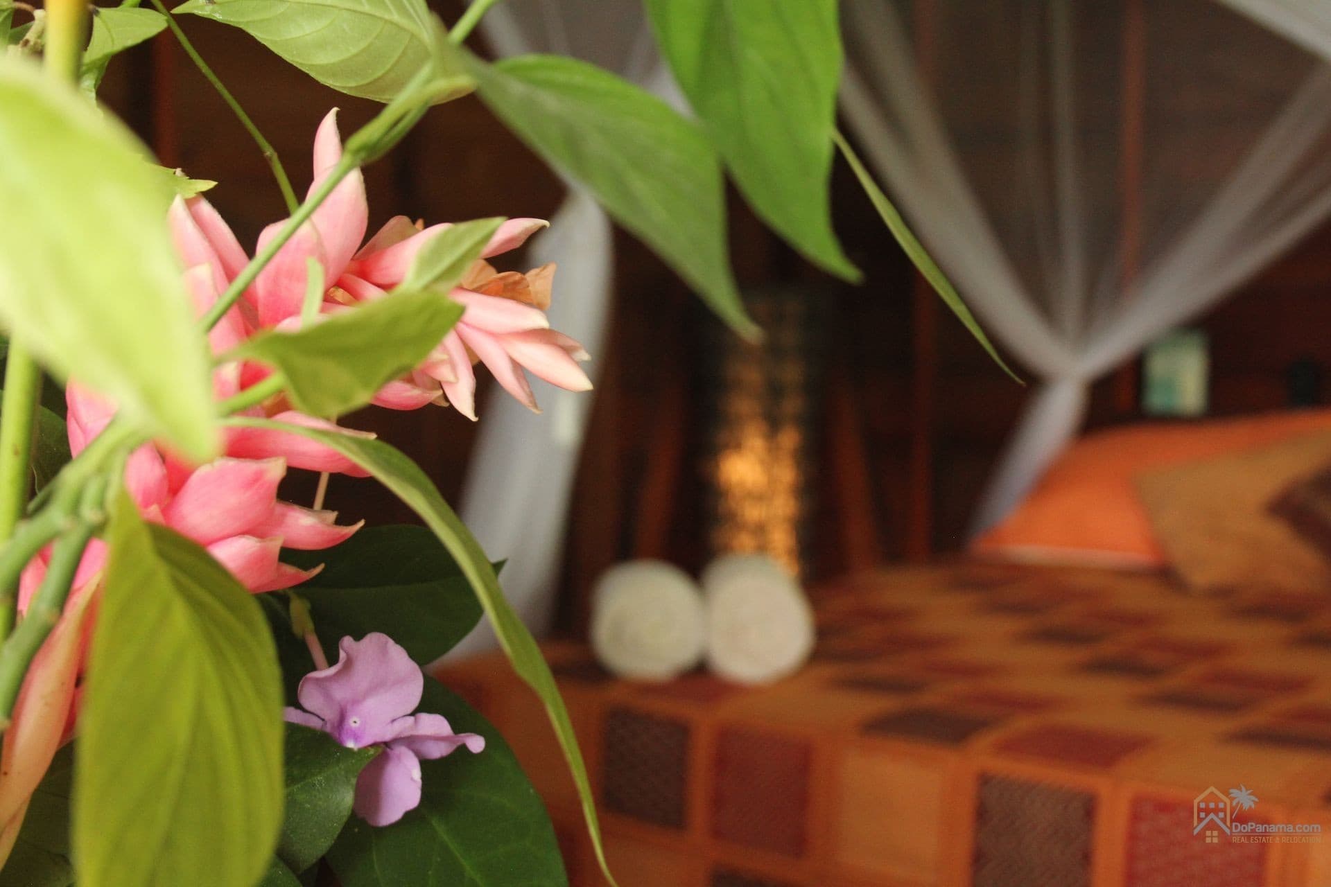 Coco Hill Restaurant & Airbnb: $250K Caribbean Paradise in Bastimentos - Photo 5