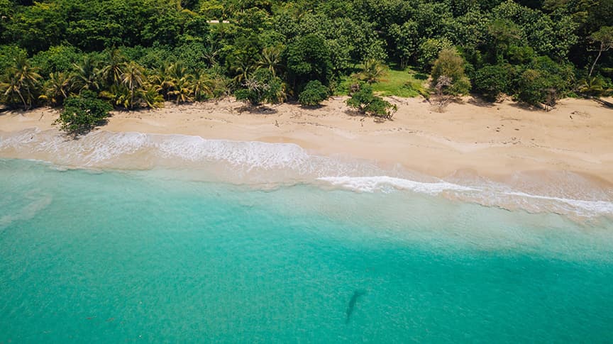 $439K Beachfront Paradise: Premium Red Frog Beach Resort Lot in Bocas del Toro - Photo 4