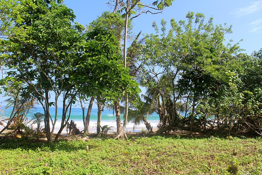 Beachfront Paradise Awaits: 2,104 sqft Lot Red Frog Beach Bocas del Toro - Photo 3