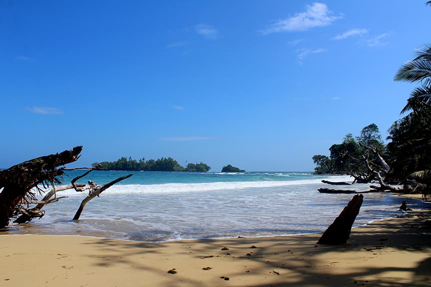 Beachfront Paradise Awaits: 2,104 sqft Lot Red Frog Beach Bocas del Toro - Photo 5